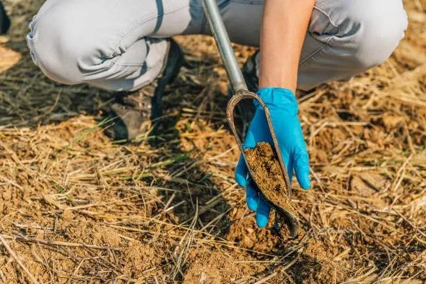 Investigación Geotécnica