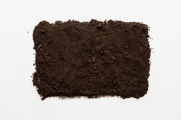 Composición del Suelo