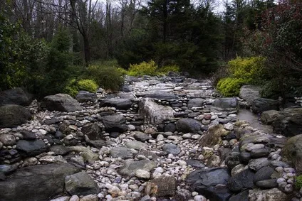 Competencia de Flujo