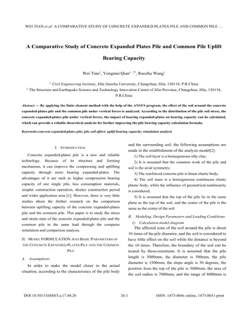 Más sobre Estudio Comparativo de la Capacidad Portante al Levantamiento de Pilotes Comunes y Pilotes con Placas de Hormigón Expandido
