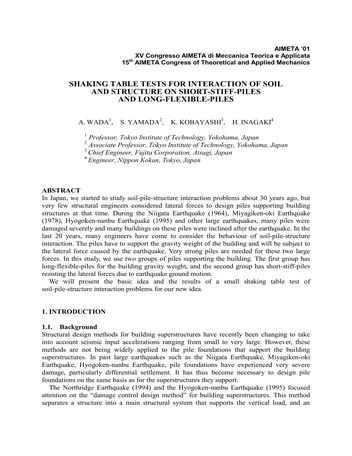 Más sobre Pruebas en Mesa Vibratoria para la Interacción del Suelo y la Estructura en Pilotes Cortos y Rígidos